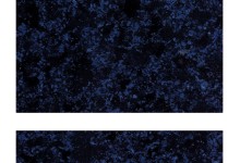 602-572 602-572
